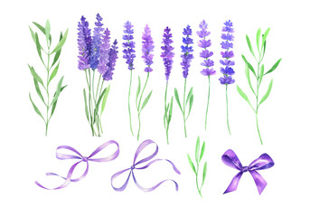  Watercolor set with lavender flowers.