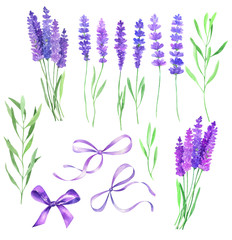  Watercolor set with lavender flowers.