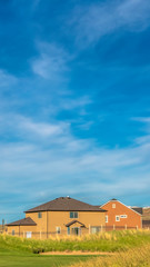 Vertical Green grasses of golf course with houses and mountain in the scenic background