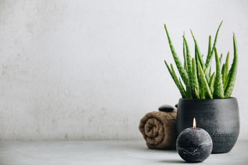 Natural Spa concept with aloe vera, space for text and logo