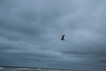 Meer Nordsee
