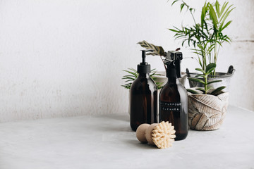 Various items and ingredients for eco home cleaning and house plants