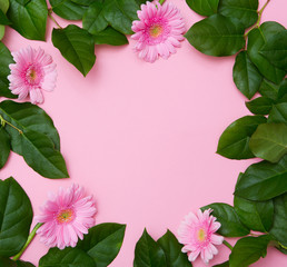 Creative layout with Pink flowers and leaves on a pink background. holiday concept. Flat lay, top...