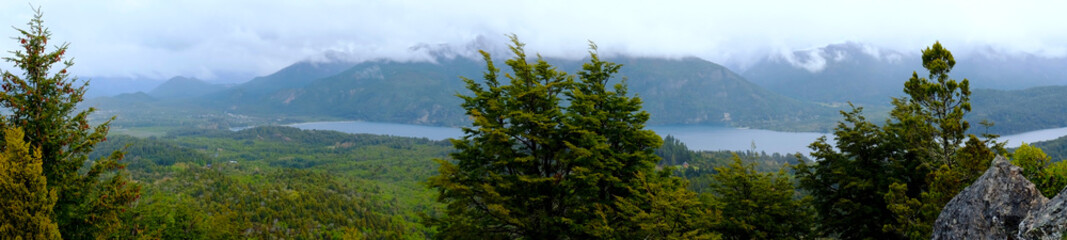 Fototapeta na wymiar Forest view in Bariloche Argentina