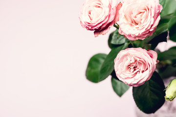 Beautiful Flowers in a Vase Spring Background White and Pink Flowers on Pink Background Copy Space Horizontal Pink Roses and Eustoma Holiday Card