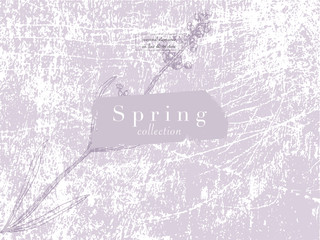 Elegant social media trendy feminine dusty lavender floral elements and templates
