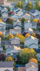 Vertical frame Aerial view of a modern housing estate with trees