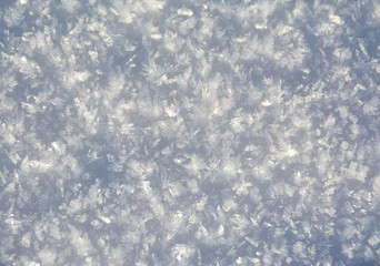 Obraz premium snow seen in detail