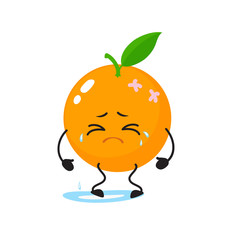 A cute, attractive orange, cheerful character with emotion.