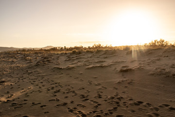 Winter sunset at the beach.