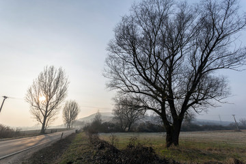 Frosty hills on a winter day