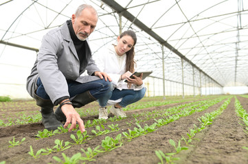 Apprentice in greenhouse learning about organic agriculture