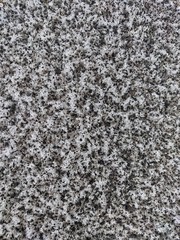 texture of stone