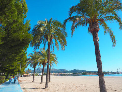 Promenade in Port d'Alcudia - Mallorca