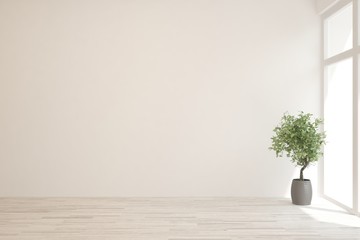 Empty room in white color with green home plant. Scandinavian interior design. 3D illustration
