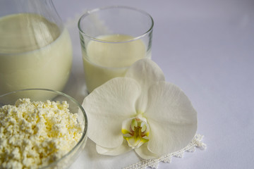 Milk in a jug, cottage cheese in a glass bowl, a white Orchid flower. White background. Breakfast, simple food, good morning.