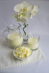 Milk in a jug, cottage cheese in a glass bowl, a white Orchid flower. White background. Breakfast, simple food, good morning.