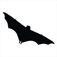 silhouette image of a bat flying.