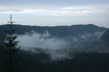 Tatry Mountains fog landscape