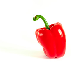 Juicy red Bulgarian pepper with a green tail lies on a white background