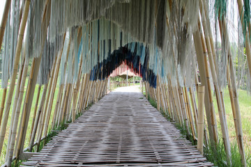 Old bamboo bridge on rice paddy field.