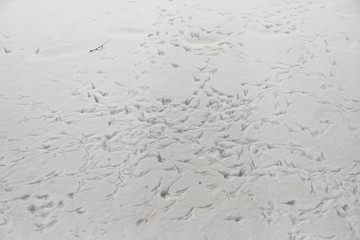 Rough snow surface with shadows and birds traces. Winter ground texture with footprints. Abstract white and blue background.