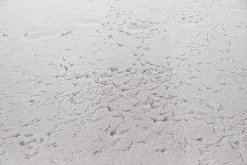 Rough snow surface with shadows and birds traces. Winter ground texture with footprints. Abstract white and blue background.