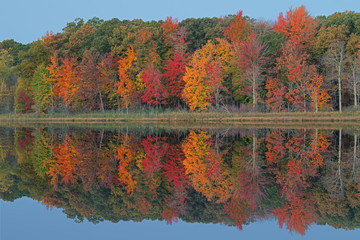 Autumn landscape, Deep Lake with reflections in calm water, Yankee Springs State Park, Michigan, USA