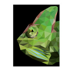 Colorful polygonal style design of wild reptile green chameleon