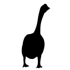 vector, isolated, silhouette pet goose is walking