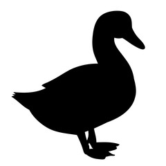 isolated, black silhouette pet duck