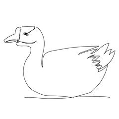 vector, isolated, goose continuous line drawing