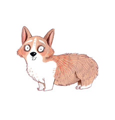 Corgi 