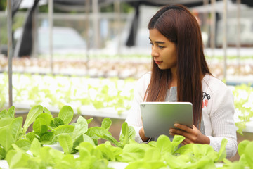 Fototapeta premium Smart farmers are monitoring plant growth to keep up with customer needs.