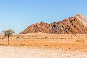 Fototapeta na wymiar Amazing landscapes of Namibia, Africa