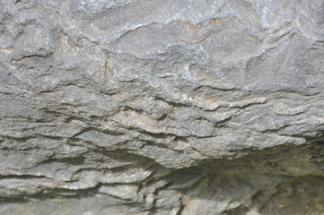 Textured Metamorphic Rock Surface with Natural Layers and Mineral Veins