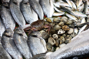 Fototapeta premium fish and seafood at the Bazaar in Istanbul.