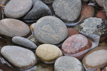 Wet River Pebbles Close-Up
