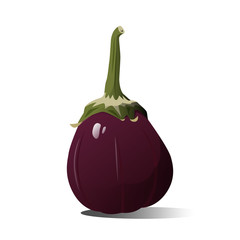 Purple eggplant object vector on white background,isolated,for artist or graphic designer.