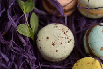 Different colorful macaroons with the mint on the violet background