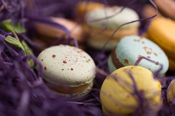 Obraz na płótnie Canvas Different colorful macaroons with the mint on the violet background