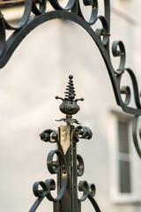 Fototapeta na wymiar Details of an old rusty iron gate