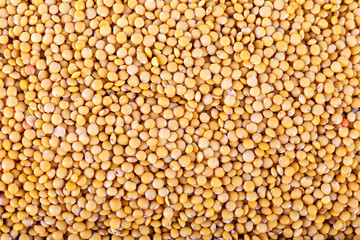 Yellow lentils background. Texture. Close-up.