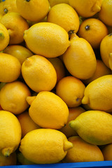 Fresh lemons harvest close up