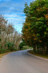 Fototapeta na wymiar Country Road Amidst Trees Against Sky