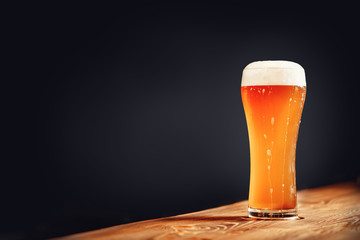 Long glass of fresh light beer with foam on wooden bar counter, dark background