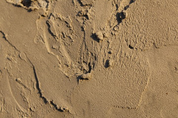 footprints in the sand