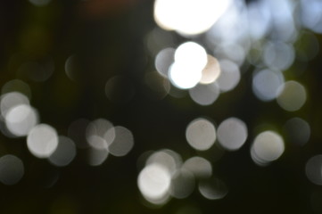 light bokhe background abstract