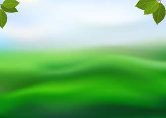 Nature green background with leaves on a blurred background of grass and sky. View with copy space add text. Vector