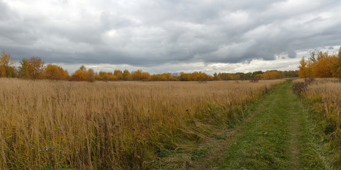 Walking through the forest, beautiful panorama.